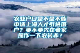 农业户口是不是不能申请上海人才引进落户？要不要先在老家操作一下农转非？