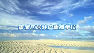 青浦区居转户重点单位