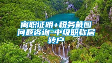 离职证明+税务截图问题咨询-中级职称居转户