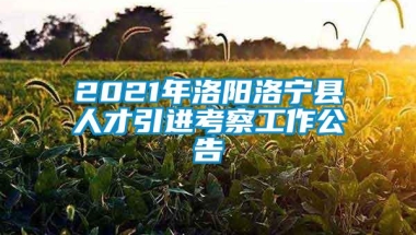 2021年洛阳洛宁县人才引进考察工作公告