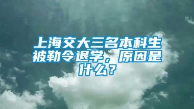 上海交大三名本科生被勒令退学，原因是什么？