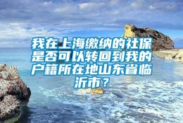 我在上海缴纳的社保是否可以转回到我的户籍所在地山东省临沂市？