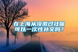 在上海从没激过社保可以一次性补交吗？