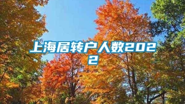 上海居转户人数2022