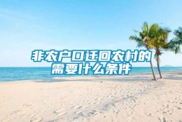 非农户口迁回农村的需要什么条件