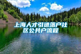 上海人才引进落户社区公共户流程