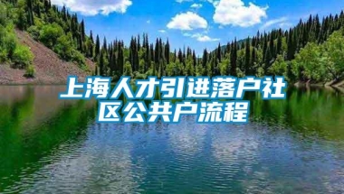 上海人才引进落户社区公共户流程