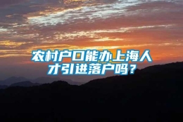 农村户口能办上海人才引进落户吗？