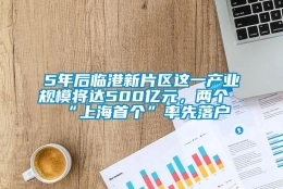 5年后临港新片区这一产业规模将达500亿元，两个“上海首个”率先落户