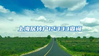 上海居转户12333查询