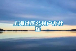 上海社区公共户办社保