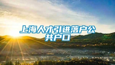 上海人才引进落户公共户口