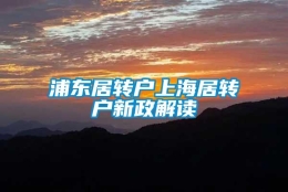 浦东居转户上海居转户新政解读