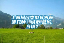 上海户口类型分为有哪几种？城市,县城,乡镇？