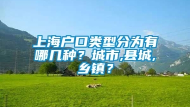 上海户口类型分为有哪几种？城市,县城,乡镇？