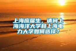 上海应届生，请问上海海洋大学和上海电力大学如何选择？