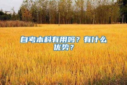 自考本科有用吗？有什么优势？