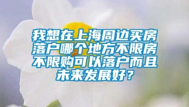 我想在上海周边买房落户哪个地方不限房不限购可以落户而且未来发展好？