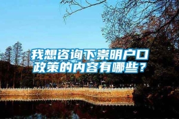 我想咨询下崇明户口政策的内容有哪些？