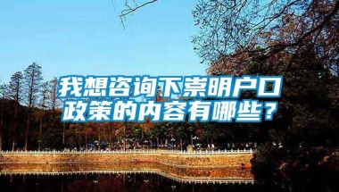 我想咨询下崇明户口政策的内容有哪些？