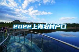 2022上海农村户口