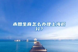 未婚生育怎么办理上海积分？