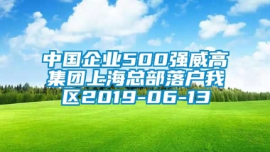 中国企业500强威高集团上海总部落户我区2019-06-13