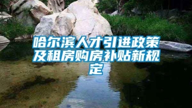 哈尔滨人才引进政策及租房购房补贴新规定