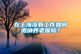 在上海没有工作如何缴纳养老保险？