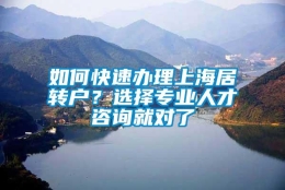 如何快速办理上海居转户？选择专业人才咨询就对了