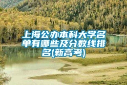 上海公办本科大学名单有哪些及分数线排名(新高考)