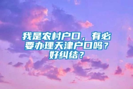 我是农村户口，有必要办理天津户口吗？好纠结？