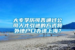 大专学历可否通过公司人才引进的方式将外地户口办进上海？