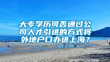 大专学历可否通过公司人才引进的方式将外地户口办进上海？