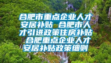 合肥市重点企业人才安居补贴 合肥市人才引进政策住房补贴 合肥重点企业人才安居补贴政策细则