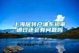 上海居转户浦东初审通过还会有问题吗