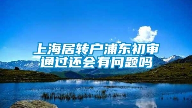 上海居转户浦东初审通过还会有问题吗