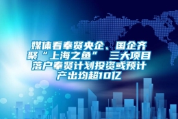 媒体看奉贤央企、国企齐聚“上海之鱼” 三大项目落户奉贤计划投资或预计产出均超10亿