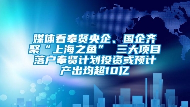 媒体看奉贤央企、国企齐聚“上海之鱼” 三大项目落户奉贤计划投资或预计产出均超10亿