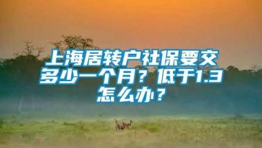 上海居转户社保要交多少一个月？低于1.3怎么办？