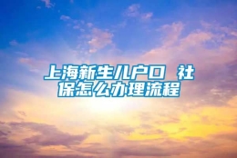 上海新生儿户口 社保怎么办理流程