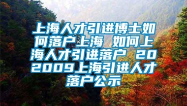 上海人才引进博士如何落户上海 如何上海人才引进落户 202009上海引进人才落户公示