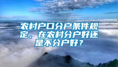 农村户口分户条件规定，在农村分户好还是不分户好？