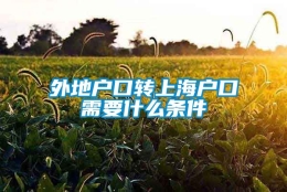 外地户口转上海户口需要什么条件