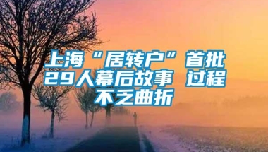 上海“居转户”首批29人幕后故事 过程不乏曲折