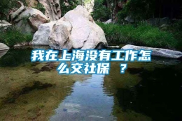 我在上海没有工作怎么交社保 ？