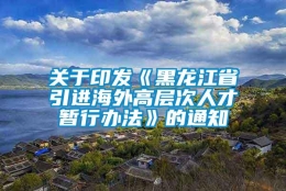 关于印发《黑龙江省引进海外高层次人才暂行办法》的通知