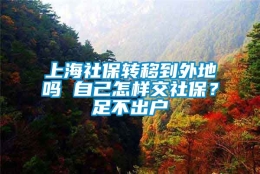 上海社保转移到外地吗 自己怎样交社保？足不出户