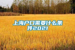 上海户口需要什么条件2021