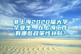 非上海2020届大学毕业生，在上海工作有哪些政策性补贴？